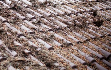 Penygelli roof cleaning companies