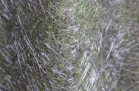 Penygelli fibreglass roof work